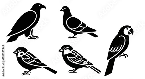Collection of Black Bird Silhouettes: Eagle, Pigeon, Parrot, and Small Birds Icons