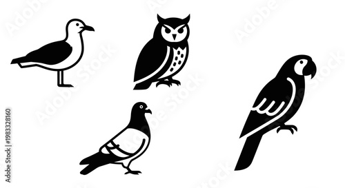 Diverse Bird Icons Set: Seagull, Owl, Pigeon, Parrot Silhouettes Collection