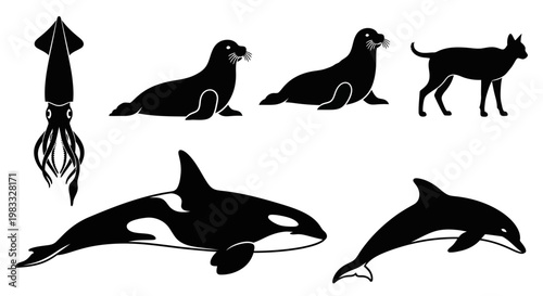 Diverse Animal Silhouettes: Marine Life and Domestic Cat Vector Collection