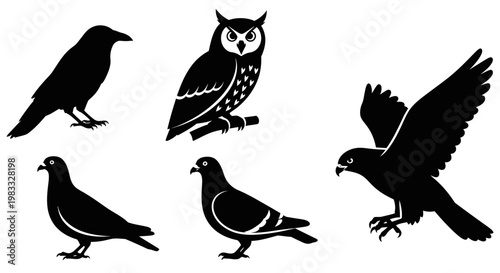 Diverse Bird Silhouettes Collection: Owl, Hawk, Crow, and Pigeons Vector Set