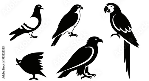 Diverse Bird Silhouettes Set: Pigeon, Hawk, Parrot, and More Vector Icons
