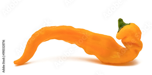 Yellow oxhorn pepper isolated on white background