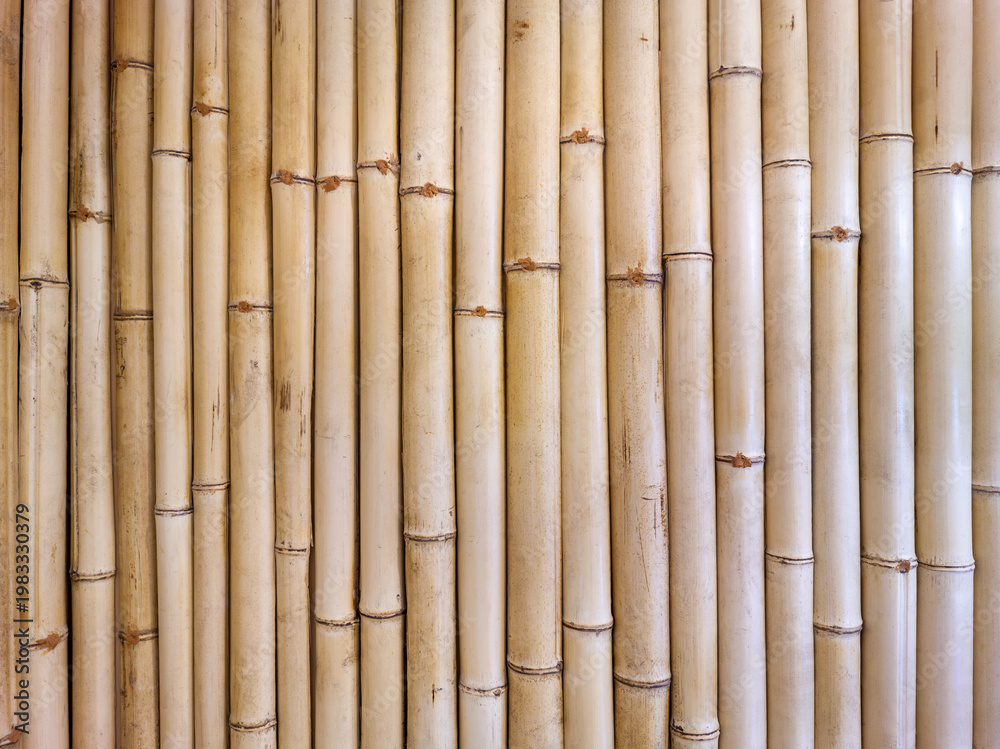 Fototapeta premium Close view of tightly arranged bamboo stalks forming uniform vertical pattern, highlighting natural texture, warm tones, and organic structure used in design and architecture.