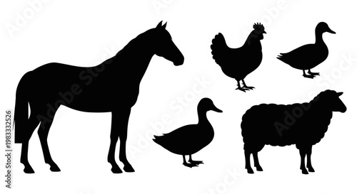 Farm Animals Silhouettes Collection: Horse, Chicken, Ducks, and Sheep