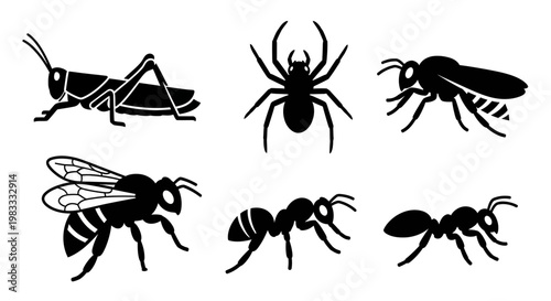 Insect and Spider Silhouettes Set: Grasshopper, Bee, Wasp, Ant, and Spider Icons