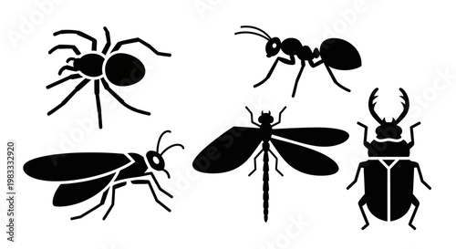 Insect and Spider Silhouettes Collection - Vector Icons of Bugs and Arthropods