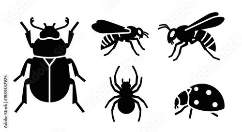 Insect icons set: beetle, wasp, spider, ladybug silhouettes, bug collection
