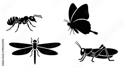 Insect Silhouettes Collection: Ant, Butterfly, Dragonfly, Grasshopper Graphic Icons