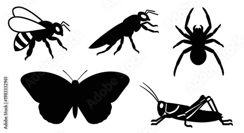 Insect Silhouettes Collection: Bee, Spider, Butterfly, Grasshopper, Wasp