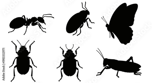 Insect Silhouettes Collection: Diverse Bugs, Beetles, Butterfly, Ant, and Grasshopper Outlines