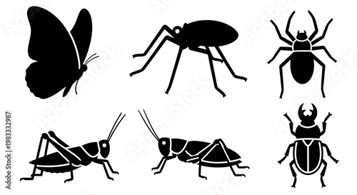 Insect Silhouettes Collection: Butterfly, Spider, Grasshopper, and Beetle Icons Set