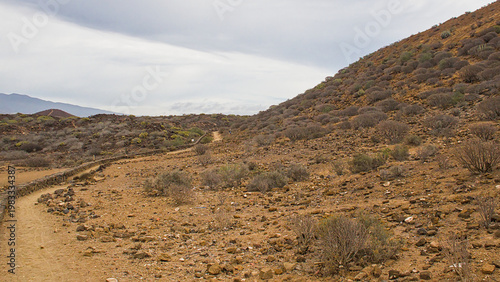 Tablou pe pânză Hiking trail thorugh the shrubland of Malpais de la Rasca, Tenerife, Canary isla