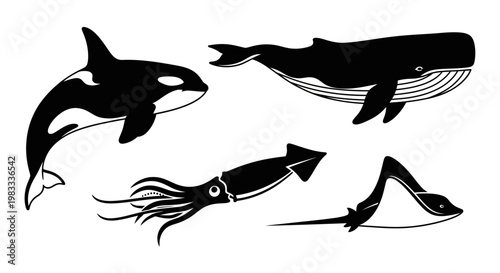 Marine Animals Silhouette Set: Orca, Whale, Squid, and Ray Vector Illustration