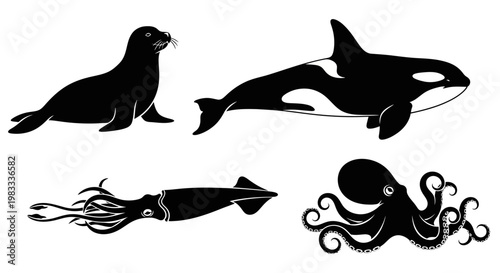 Marine Animals Silhouettes: Seal, Orca, Squid, and Octopus Collection