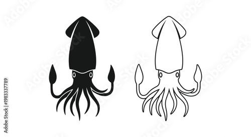 Squid Anatomy Diagram: Cephalopod Biology & Tentacle Structure Vector