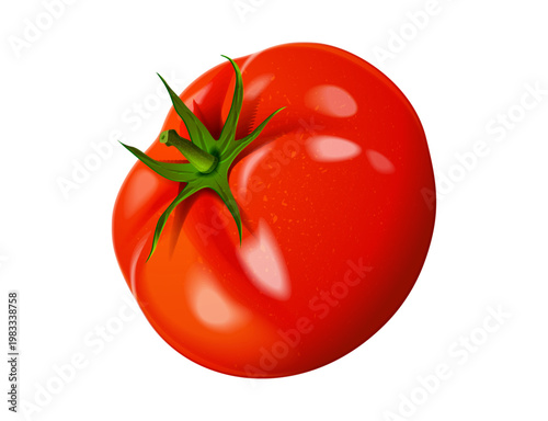 Realistic whole fresh red tomato with green stem
