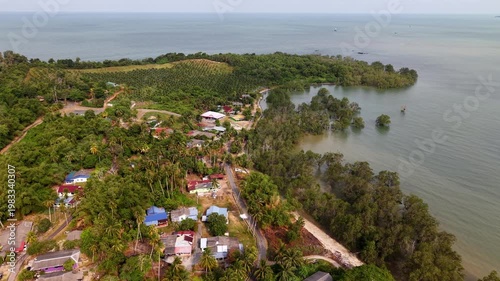 Coastal village nestled amid dense greenery