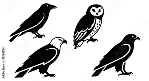Vector Silhouettes of Predatory Birds: Crow, Owl, and Eagles Collection