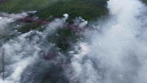 Thick smoke rises from burning forest floor