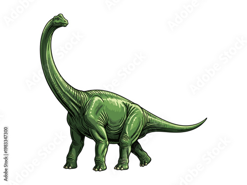 Brachiosaurus Dinosaur Illustration on White Background