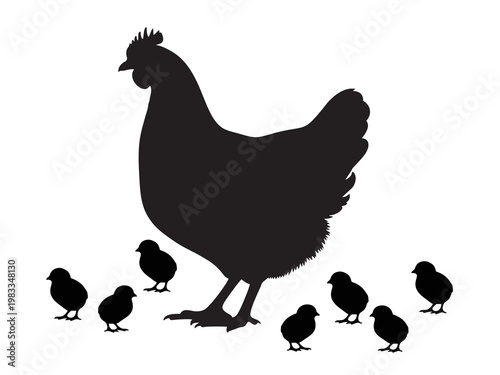 Hen with chicks silhouette illustration on white background