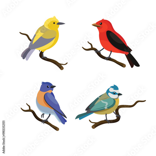 Four birds perched on branches in different colors