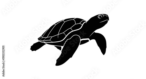 Simple abstract image with no specific details