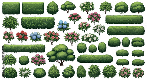 Green garden shrubs and hedge bushes set, landscape architecture plants with flowers, outdoor garden greenery vector collection
