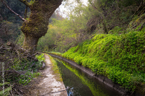 Walking Trail Between Lousã Village and Castle, Surrounded by Greenery and Water Channels in Portugal