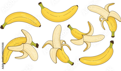 Vector Set of Fresh Yellow Bananas, Whole and Peeled, for Healthy Snack, Food, and Organic Produce Designs
