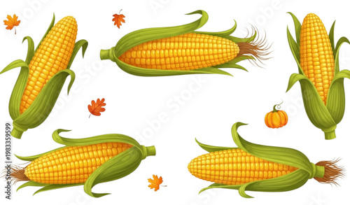 Vector Set of Fresh Corn on the Cob with Autumn Leaves and Pumpkin for Fall, Harvest, and Seasonal Food Designs
