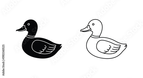 Black & White Ducks Illustration Vector Design Vector
