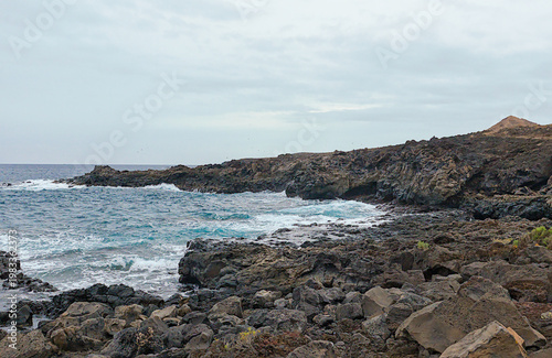 Foto rocky shrubland on the coast of the calm blue Atlantic ocean in Tenerife, Canary