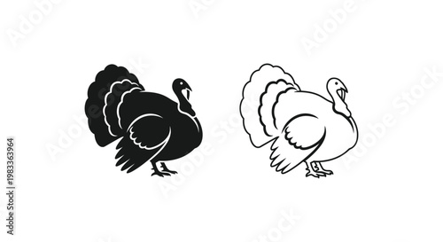 Turkey Illustration: Art Design Vector Graphics Vector