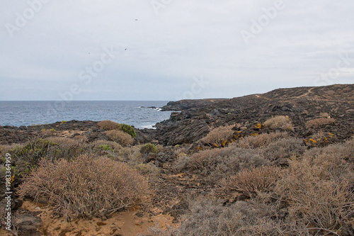 Fotografia rocky shrubland on the coast of the calm blue Atlantic ocean in Tenerife, Canary