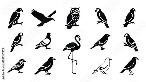 A collection of black silhouette icons depicting various bird species in different poses high quality professional