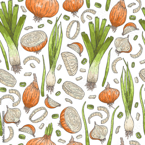 Seamless pattern of onions and leeks. Sketch style. Doodle. Fresh, organic vegetables. Healthy food. Herbs, fragrant spices. Vector illustration.