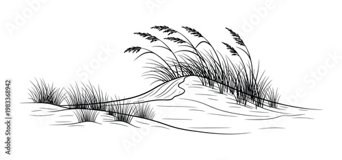Vector illustration of sand dunes with grass in wind.