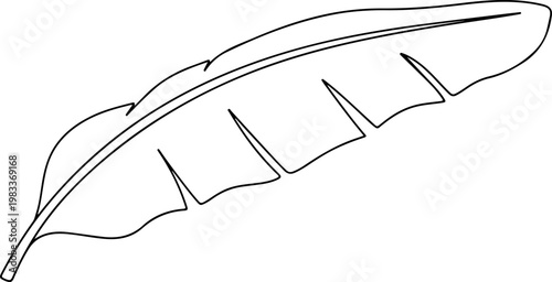 Continuous one line of a banana leaf, tropical botanical vector concept representing exotic freshness and eco aesthetics, style hand drawn illustration.