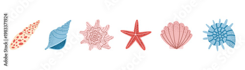 Seashell set with spiral shells and starfish. Marine summer collection. Flat vector illustration isolated on white background.