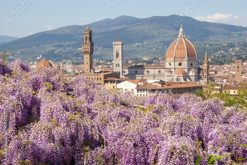 Italia, Toscana, il Giardino Bardini col glicine in fiore.