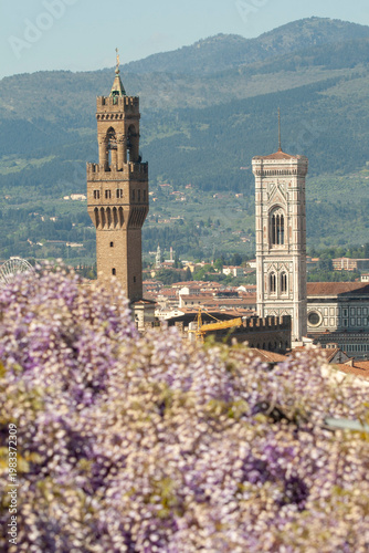 Italia, Toscana, il Giardino Bardini col glicine in fiore.