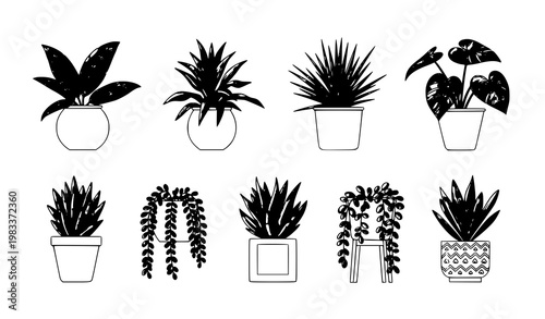 Elegant Houseplant Icons Set Modern Indoor Plant Collection with Leaf Variations and Stylish Pots Vector