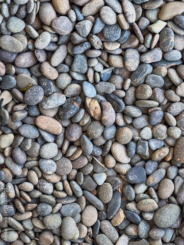 Schilderij op canvas Small stones in walk way path for garden interior decoration