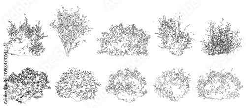 Vector set of shrubs and bushes in elevation view for use in architectural drawings - isolated on transparent background	