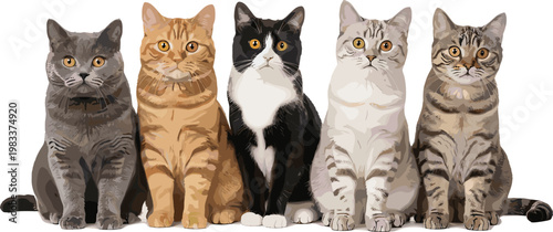 Five Cat Illustration Set Featuring Different Breeds and Poses for Pet, Animal, and Domestic Life Designs