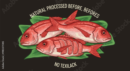 Fresh red snapper fish illustration on dark background with text