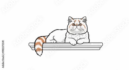 Fluffy white and brown cat with striped tail rests on a shelf