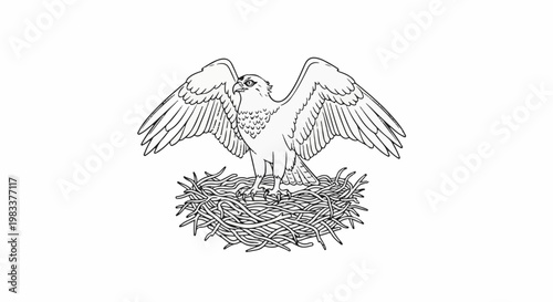 Detailed line drawing of a majestic eagle with outstretched wings perched on a twig nest