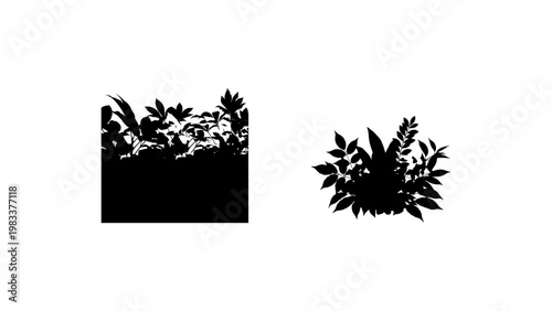 Silhouette botanical designs highlighting leafy plant patterns in nature art